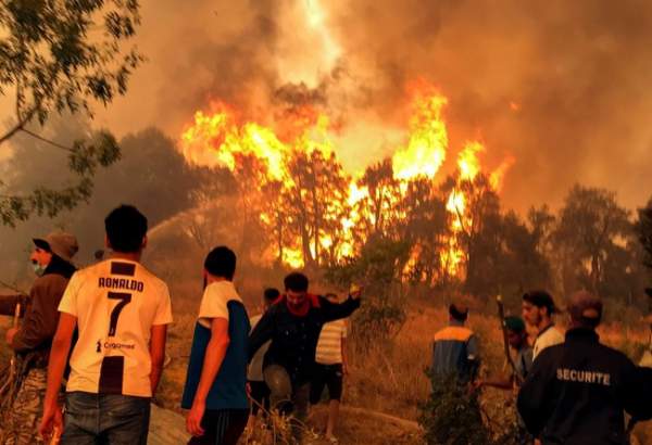 Au moins 26 morts dans un incendie de forêt en Algérie