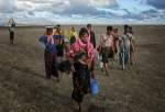 EU, others reiterate call to hold perpetrators of Rohingya violence accountable