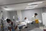 24 Iranian patients succumb to COVID in 24 hrs