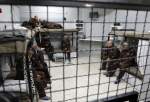 بیش از چهار هزار فلسطینی در زندان‌های رژیم صهیونیستی