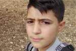 Israeli forces kill Palestinian teen during raid on West Bank