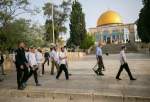 Scores of Israeli settlers break into Al-Aqsa Mosque