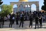 Hamas warns of constant Israeli violations at al-Aqsa Mosque