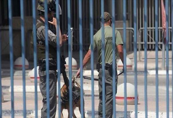 ۲۱ روزنامه نگار فلسطینی در زندان های رژیم صهیونیستی اسیر هستند