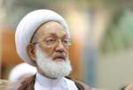 Senior Bahraini cleric reiterates boycott of parliamentary elections
