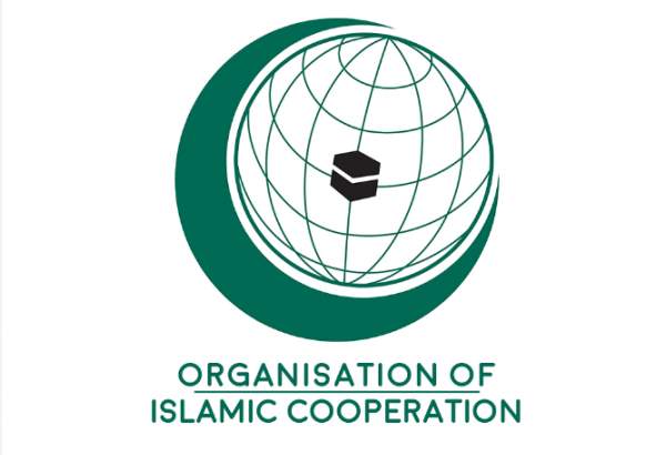 OIC commends UN resolutions in favor of Palestine
