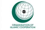 OIC commends UN resolutions in favor of Palestine