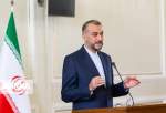 Iran FM affirms deserved services to Iranian expatriates