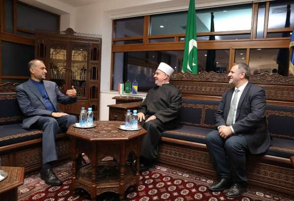 امير عبداللهيان يلتقي رئيس علماء المسلمين في البوسنة والهرسك