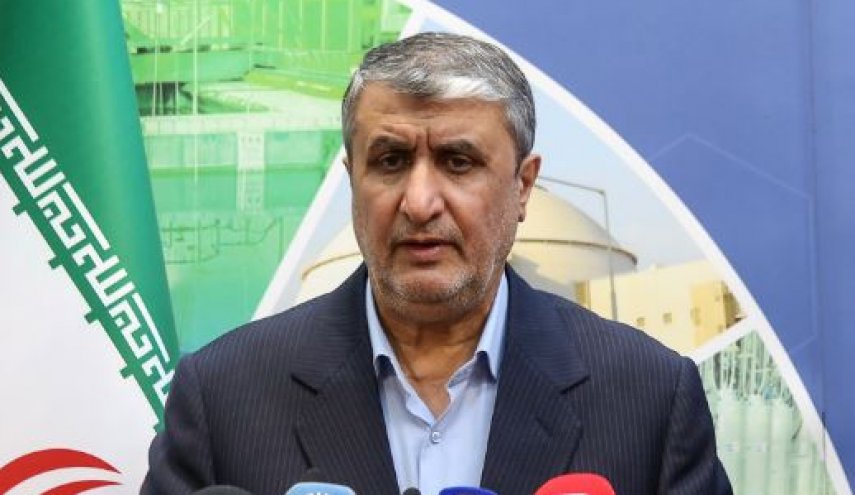 إسلامي : وفد من وكالة الطاقة الذرية الدولة في طهران قريبا