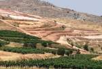 Israeli regime confiscates vast tracts of Palestinian lands in Nablus