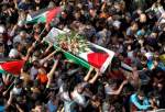 Deadliest year for West Bank Palestinians since Second Intifada