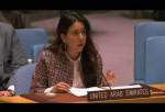 UAE Rep. slams UNSC regarding Syrian chemical case
