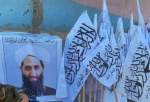 مصر، سوڈان، فلسطین اور لیبیا کے متعدد علماء کا طالبان کی حکومت کو تسلیم کرنے کا مطالبہ