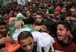 چوبیس گھنٹوں سے کم عرصے میں تیسرا فلسطینی شہید