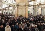 مسجد اقصیٰ میں ہزاروں فلسطینیوں کی موجودگی اور فلسطینیوں کے اتحاد پر اسلامی جہاد کی تاکید