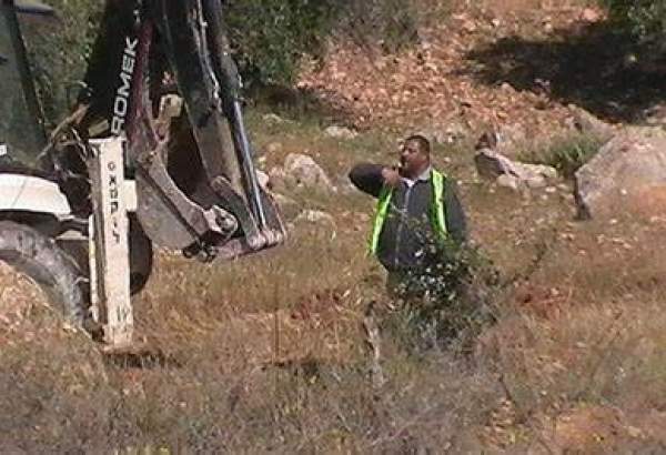 Israel Forces to uproot 100 trees belonging to Palestinian farmer in Masafer Yatta