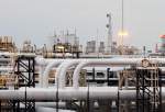 Iranian, Russian petrochemical companies agree to boost coop
