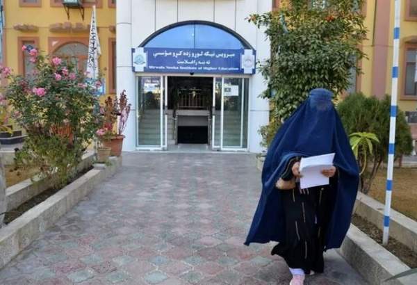 افغان یونیورسٹیوں کے متعدد سابق پروفیسروں نے آن لائن ویمن یونیورسٹی کی بنیاد رکھی دی
