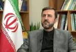 Top official stresses Iran’s adherence to human rights