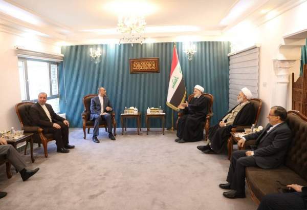 امیرعبداللهیان با رئیس مجلس اعلای عراق دیدار کرد
