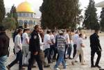 Nearly 180 Israeli settlers defile al-Aqsa Mosque in new raid
