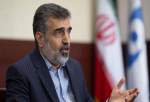 AEOI rejects access to "individuals" in Iran’s nuclear sites