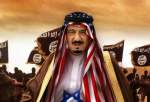 اسلامی معاشروں کی سلامتی کے ساتھ آل سعود کا کھیل