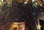 لاکھوں افراد کا مقبوضہ علاقوں کے مختلف شہروں میں صہیونی وزیراعظم  کے خلاف مظاہرے