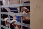 30 Palestinian female prisoners still in Israeli jails