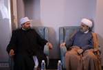 Huj. Shahriari meets al-Azhar representative in Baghdad (photo)  