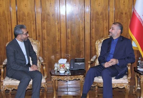 دیدار سفیر جدید ایران در الجزایر با امیرعبداللهیان