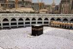 Holy cities of Mecca and Medina welcome pilgrims, worshipers during Ramadan (photo)  