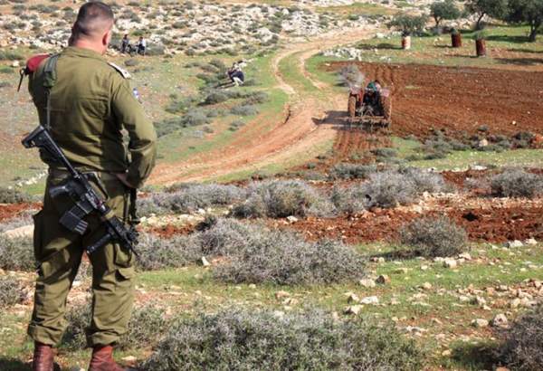 Hamas condemns Israeli regime over land grab in Qalqilya