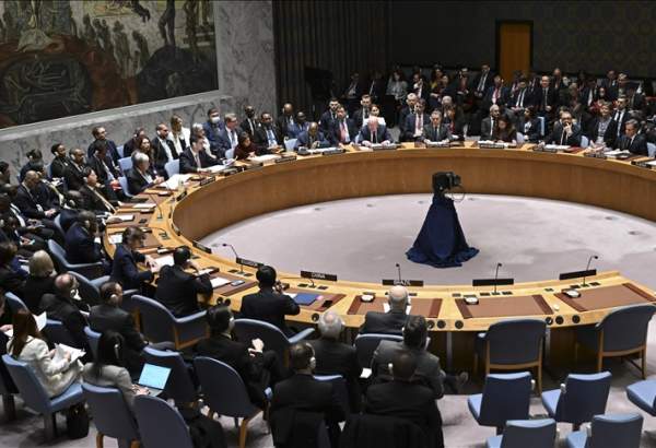 Uniting for Consensus Group discusses UN Security Council reform
