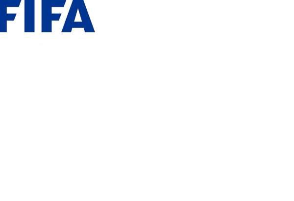 Council of Youth and Sports regrets FIFA