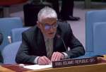 Iran slams UNSC inaction on Israeli atrocities against Palestinians