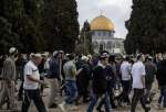 OIC condemns Israeli desecration of al-Aqsa Mosque