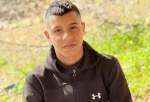 Palestinian teen killed, six more injured in Israeli raid on Jericho
