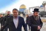 Arab, Muslim countries condemn far-right Israeli comment on at al-Aqsa