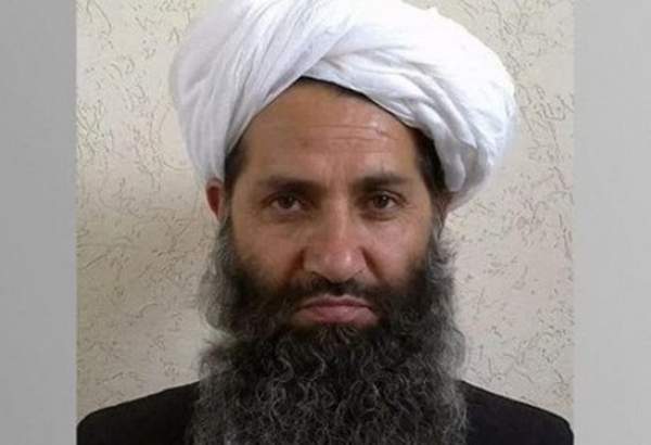 طالبان رہنما کی کسی غیر ملکی اہلکار سے پہلی ملاقات