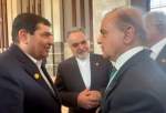 پاکستان کے وزیر اعظم کی ایران کے نائب صدر سے ملاقات