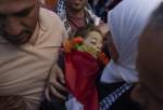 OIC urges for probe into Israeli killing of Palestinian toddler