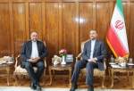 متحدہ عرب امارات میں ایران کے نئے سفیر کی حسین امیرعبداللہیان سے ملاقات
