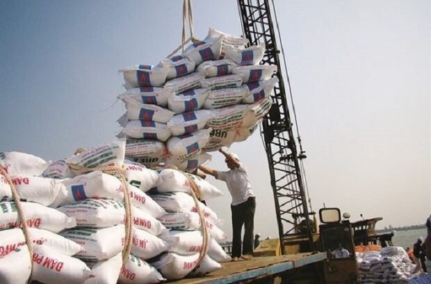 عملیات ترخیص ۵ هزار تن محموله برنج وارداتی در بندرعباس آغاز شد