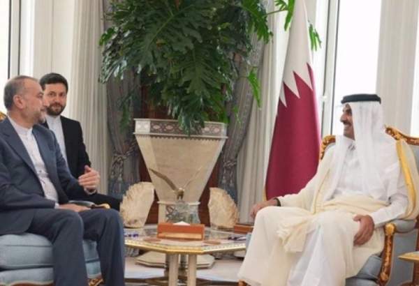 Doha seeks development of ties with Tehran: Qatari emir
