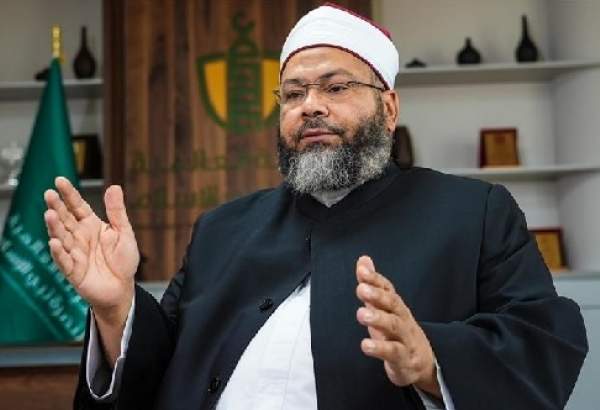 Egyptian scholar urges for intl. laws to criminalize desecration of all religious sanctities