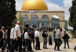 Palestine slams weak reaction to Israel 