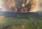 کینیڈا کے 10 ملین ہیکٹر جنگلات جل گئے