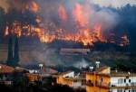 ترکی کے صوبہ ہاتائے کے جنگلات میں زبردست آگ بھڑک اٹھی